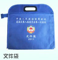 文件袋