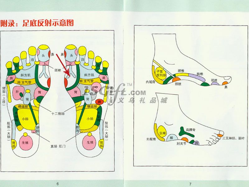 足底按摩器,HP-026359